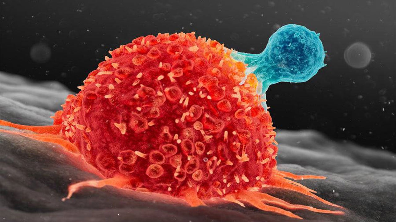 نانوذرات مغناطیسی