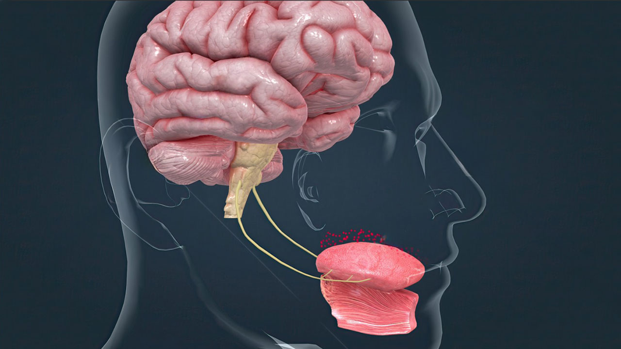 زبان مصنوعی