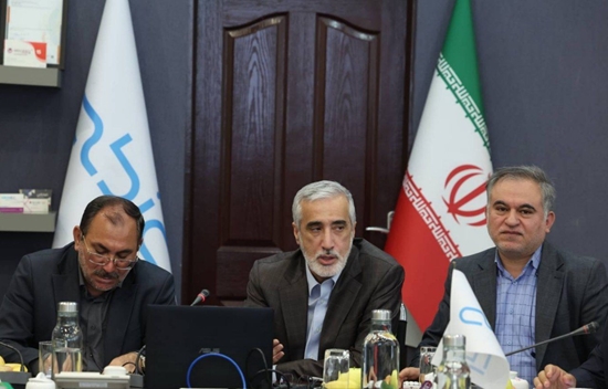 تولید داخلی