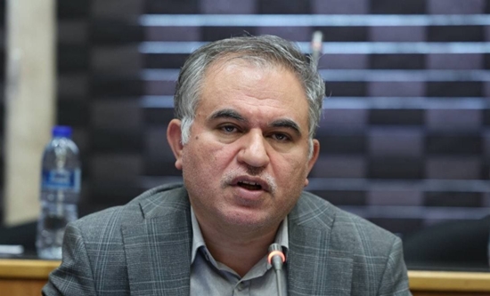 تولید داخلی