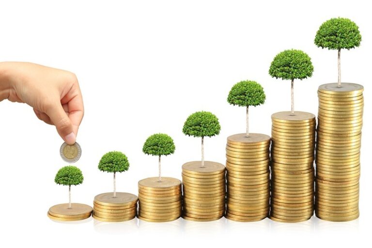 سرمایه‌گذاری