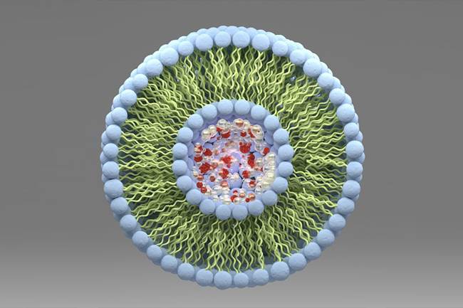 نانولیپوزوم‌ها