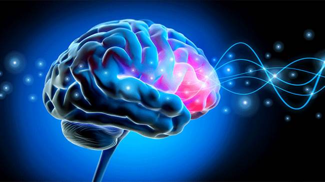 چرخه فناوری تحریک عمقی مغز بومی‌سازی می‌شود