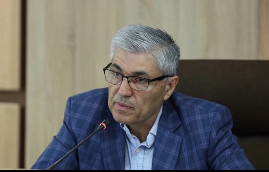 تولید داخلی