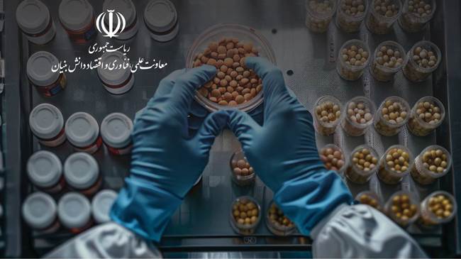 تولید