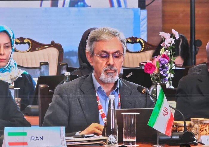 لزوم تقویت آمادگی مشترک، توسعه نوآوری‌های دارویی و تقویت همکاری‌های نظارتی در بریکس