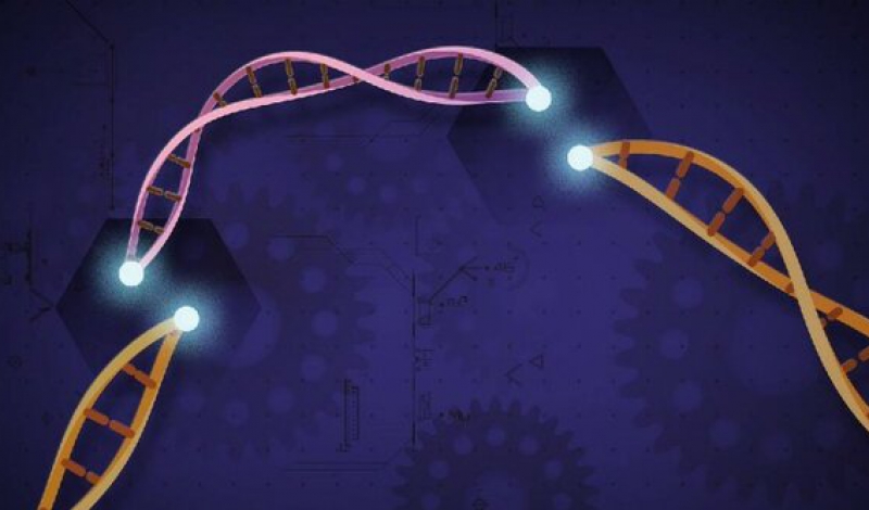 گسترش فناوری ویرایش ژن CRISPR به کودکان ۵ تا ۱۱ سال؛ نتایج موفق یک درمان نوین برای بیماری‌های ارثی خون