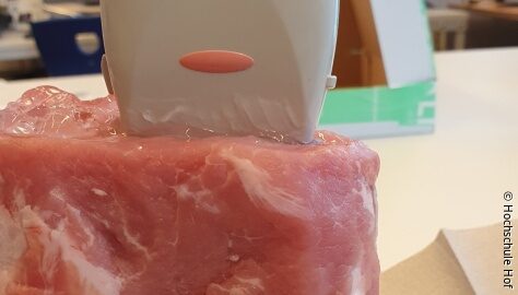 توسعه کاتتر قابل مشاهده با سونوگرافی برای افزایش دقت بی‌حسی منطقه‌ای
